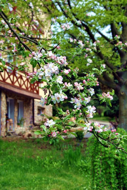 Apartament Dom Lwowski Sanok Zewnętrze zdjęcie